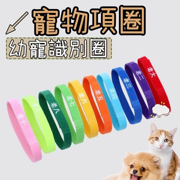 寵物識別圈 寵物識別項圈 奶貓識別圈 寵物項圈 魔鬼氈識別圈 奶犬項圈 名字項圈 寵物項圈