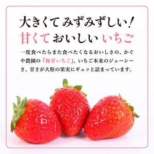 ふるさと納税 かぐや農園の極甘 いちご 特大粒 12粒 兵庫県加西市