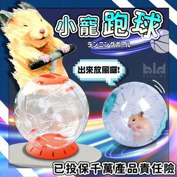 【遛鼠必備 奔跑中的鼠】倉鼠跑球 倉鼠運動跑球 倉鼠滾球 倉鼠運動 倉鼠運動 鼠玩具球 倉鼠用品 倉鼠滾輪 倉鼠球