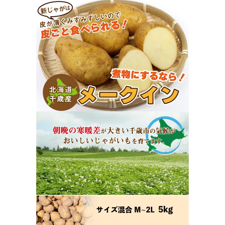 北海道産 メークイン 新じゃが Ｍ〜２Ｌサイズ混合 5kg  じゃがいも ジャガイモ 送料無料 訳あり