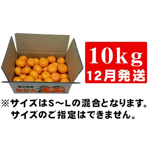 ふるさと納税 佐賀県 唐津市 「予約受付」吉田みかん園の樹上完熟みかん 10kg 柑橘 ミカン 蜜柑 フルーツ 果物