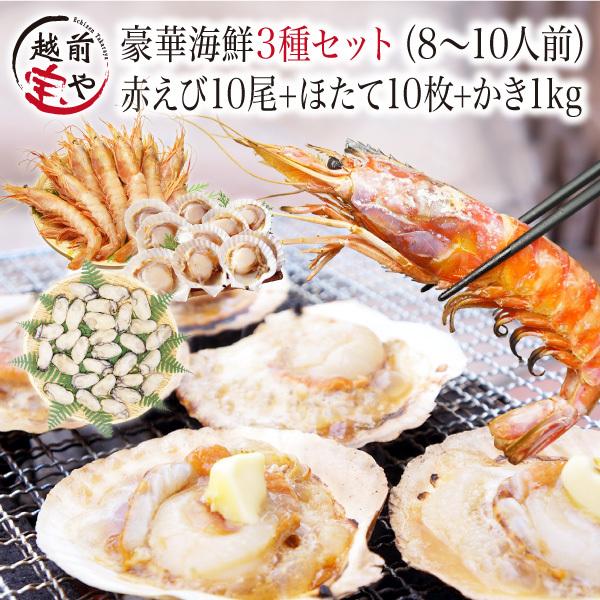 海鮮バーベキューセット 赤エビ 10尾 ホタテ 殻付き 10枚 牡蠣 1kg (8-10人前) 海鮮セット 海鮮福袋 BBQ バーベキュー お取り寄せ 海鮮鍋 海鮮おせち ((冷凍))