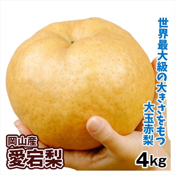 梨 4kg 愛宕梨 岡山産 ご家庭用 送料無料 食品