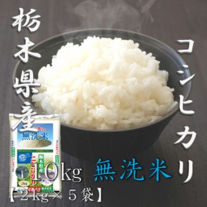 米 お米 令和5年産 無洗米 栃木県 コシヒカリ 2kg×5袋 合計 10kg