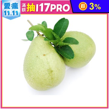 有機轉型期50年老欉柚子文旦禮盒 A級 特A級 禮盒 伴手禮 中秋