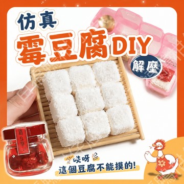🔥台灣現貨出貨🔥仿真霉豆腐DIY 微縮DIY材料包 手作 仿真食物模型 創意擺件 解壓手作 微縮場景 DIY素材