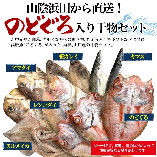 国産 のどぐろ 干物 3尾入り 高級干物 Cセット (6種13枚 詰め合わせ)  ノドグロ アマダイ カレイ アジ カマス スルメイカ 山陰浜田直送 熨斗対応可 冷凍配送