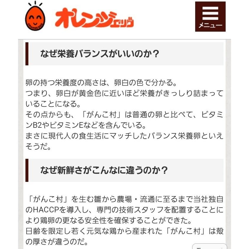 (濃厚)(送料無料)(頑固)がんこ村赤玉子（1パック10コ入り）×8パック