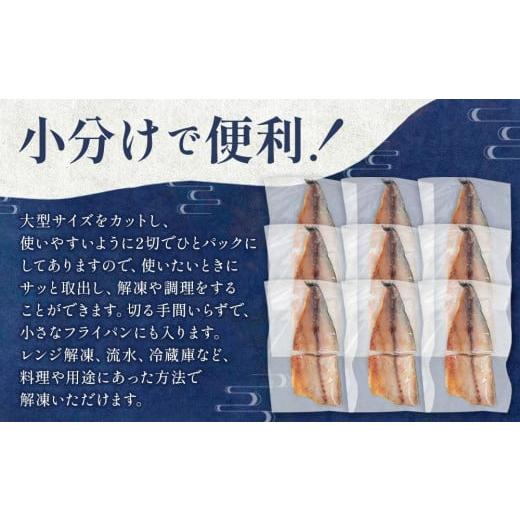 ふるさと納税 北海道 八雲町 北海道産 無添加 塩鯖 合計18切(2切×9パック) 【 魚 大型サイズ 塩サバ 使いやすい 小分け カット品 海産物 魚介類 水産物応援 …