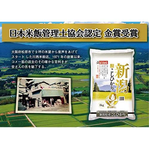 新潟県産 白米 こしひかり 5kg 令和4年産