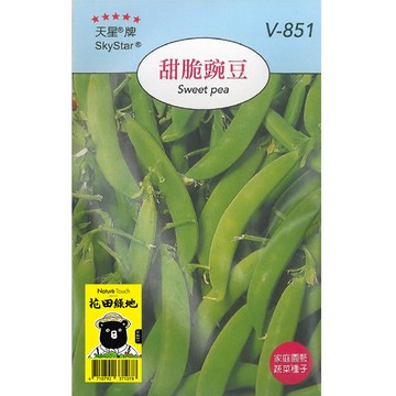 花田綠地種子-甜脆豌豆