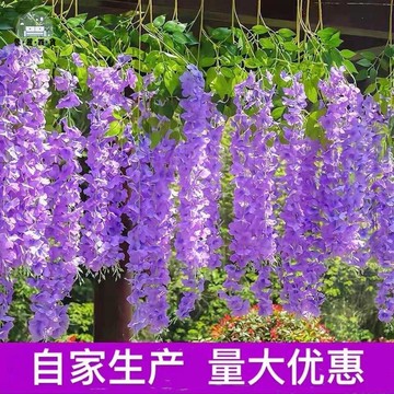 仿真花 人造花 假花 仿真仿真花紫藤花假花紫羅蘭吊頂花藤墻面婚慶裝飾藤條塑料客廳特惠/全館折扣 可開發票 s5412