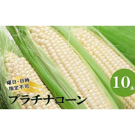 ふるさと納税 北海道月形町産  石川さんちのプラチナコーン 10本 北海道月形町