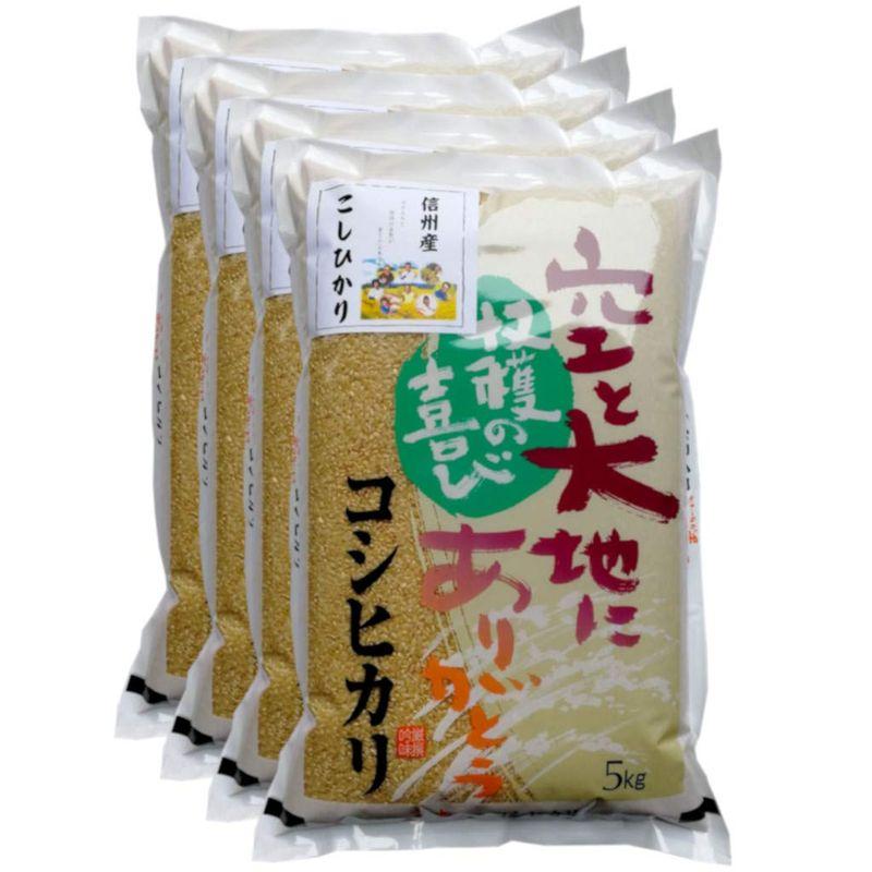 玄米 信州産 こしひかり 20kg（5kg×4） 令和4年産 米 お米 コメ 長野県 信州ファーム荻原 低温倉庫 保存