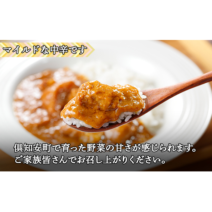 先行受付北海道 倶知安 ポークカレー 計10個 中辛 カレー レトルト 食品 加工品ポーク 豚肉 野菜 じゃがいも お取り寄せ グルメ スパイシー 【お肉・牛肉・加工食品