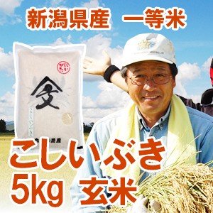 令和5年産新米 新潟県産 「こしいぶき」 玄米5kg