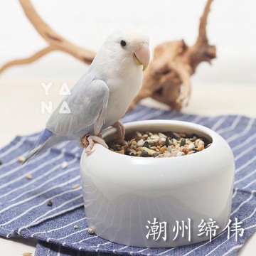 餵鳥器 防撒鳥食罐喂鳥神器牡丹鸚鵡用品信鴿食槽鳥食盒陶瓷鳥杯防濺鳥碗 三木優選