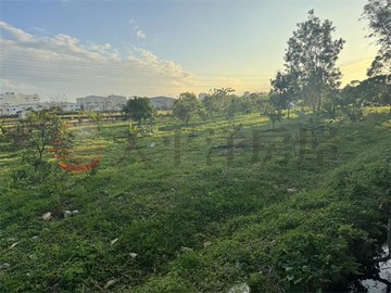 蘆竹龍安街二段都內田｜桃園市蘆竹區文中段