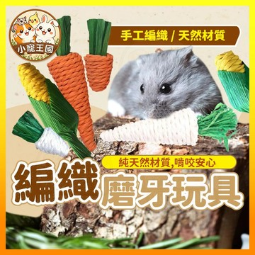 【小寵王國】小寵磨牙棒 編織磨牙玩具 草製磨牙棒 蔬菜造型磨牙品 倉鼠磨牙 兔子磨牙 小寵磨牙玩具 小寵用品