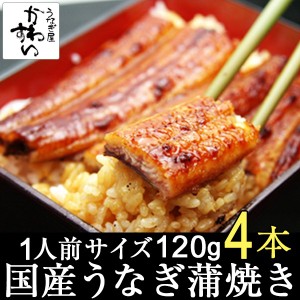 国産 うなぎ蒲焼き 120g×4本 送料無料 山椒別売り 国産うなぎ 蒲焼き タレ付き 送料無料 山椒別売り 国産 うなぎ お取り寄せ グルメ