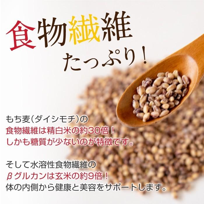 もち麦 もちむぎ 300g 無農薬 無肥料 自然栽培 ダイシモチ 宮崎県産 食物繊維