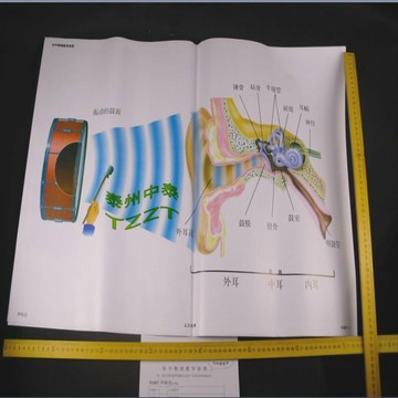 聲和光教學掛圖（9幅）J51007 初中物理教學掛圖 中學教學儀器