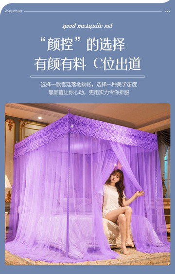 落地式蚊帳2021年新款夏天家用雙人公主風伸縮宮廷支架加密三開門