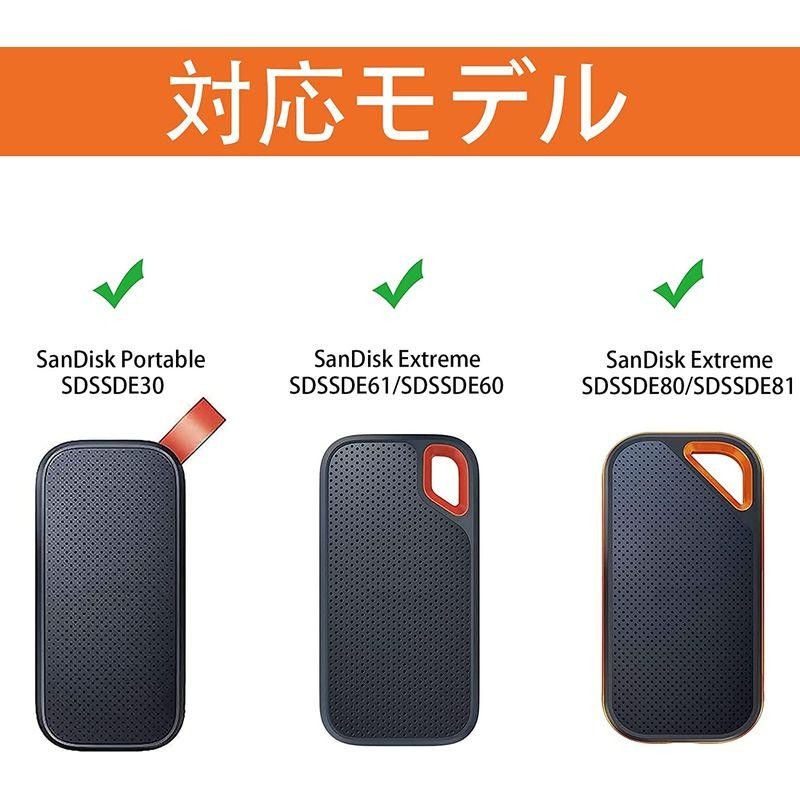 Aenllosi 専用収納ケース 互換品 SanDisk SSD 外付け 250GB 500GB 1TB