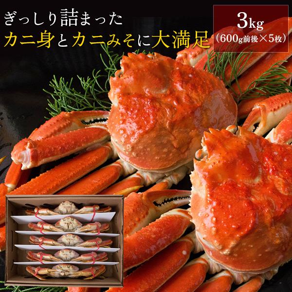 お歳暮 ギフト ボイルズワイガニ姿3kg（600g前後×5枚セット） かに カニ 蟹 送料無料（北海道・沖縄を除く）