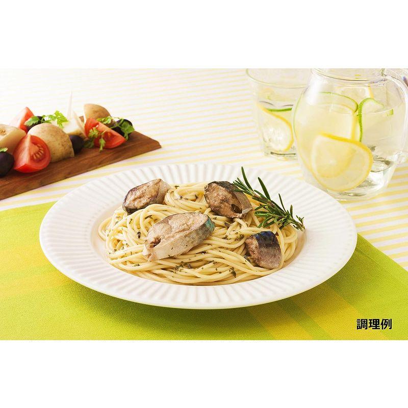 はごろも おさかなでPASTA さばの塩レモンソース 100g (2067) ×12個