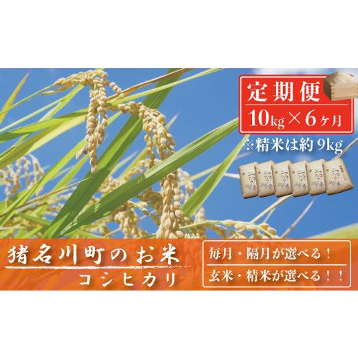 ふるさと納税 兵庫県 猪名川町 猪名川町のお米（コシヒカリ） ※精米※毎月配送