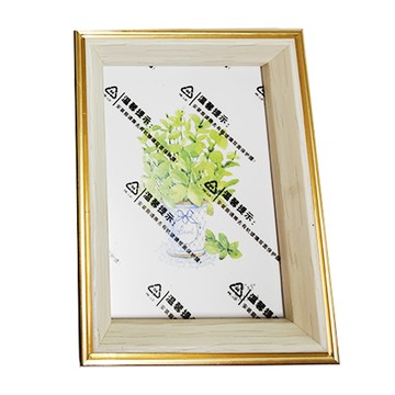 Wow Wow 寵物立體紀念相框 Set 金邊深咖  5吋  3件