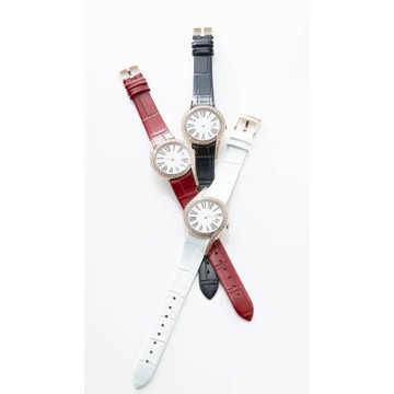 貝瑞爾絕對完美晶鑽腕錶