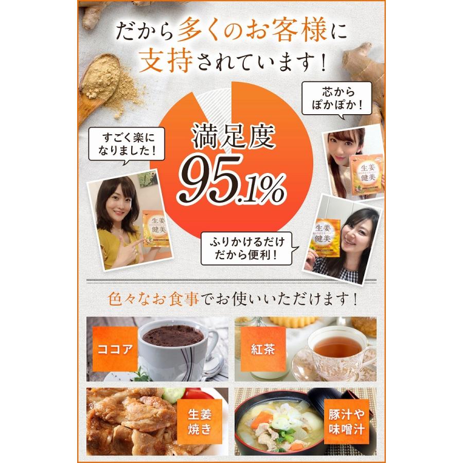 高知県産 生生姜100%使用 生姜パウダー 非遺伝子組み換え アレルゲンゼロ 添加物ゼロ 生姜健美 100g ショウガオール