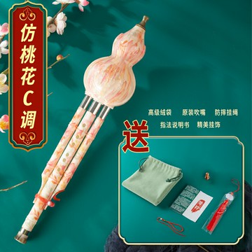 葫蘆絲 樂器 葫蘆絲樂器 雙音葫蘆絲樂器c調小學生專用初學者降b調兒童入門級防摔款『ZW9961』