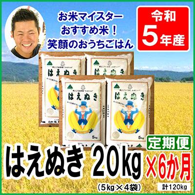 ふるさと納税 米沢市 山形県産はえぬき20kg(5kg×4袋)全6回