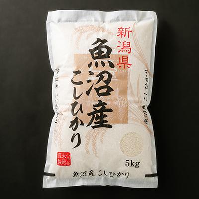 ふるさと納税 小千谷市 魚沼産コシヒカリ　5kg全12回