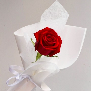 【ELLESHOP】 生日禮物、女生禮物、告白禮物、紀念日禮物、情人節禮物❤️ (限雙北配送) 白色花藝-紅玫瑰單支鮮花花束