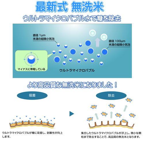 無洗米 5年産 新米 あきたこまち 5kg (5kg×1袋) 岡山県産 米 お米 送料無料