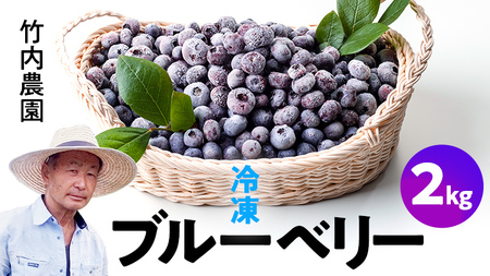  冷凍ブルーベリー2kg 国産 群馬県 フルーツ 果物 北軽井沢ブルーベリー園 1kg × 2袋 [AD003tu]