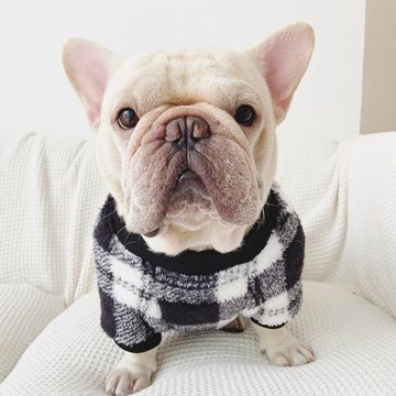 法斗衣服巴哥加絨加厚冬季衣服寵物格子衣服狗狗加絨保暖胖狗衛衣