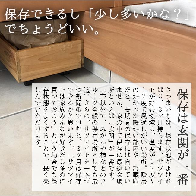 さつまいも 紅はるか 3kg  送料無料 生 土つき 減農薬 低農薬  清水農園 愛媛