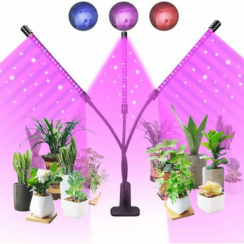 Ledクリップ式植物育成ライト Kethvoz 屋内観葉植物成長ランプ タイミング機能4 8 12h付き 3つの照明モード 5つの明るさのレベルと 通販 Lineポイント最大0 5 Get Lineショッピング
