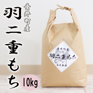 AO-5 岐阜県産羽二重もち10kg（5kg×2）