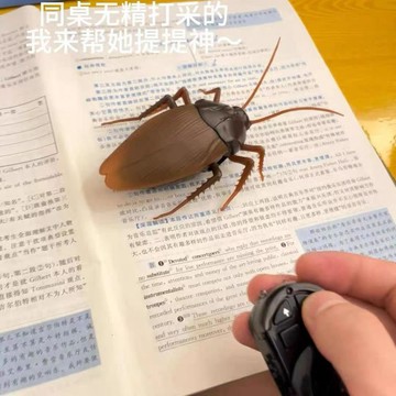 🌟超夯遙控蟑螂玩具小強仿真電動小蟲子假昆蟲創意禮物整蠱道具惡搞