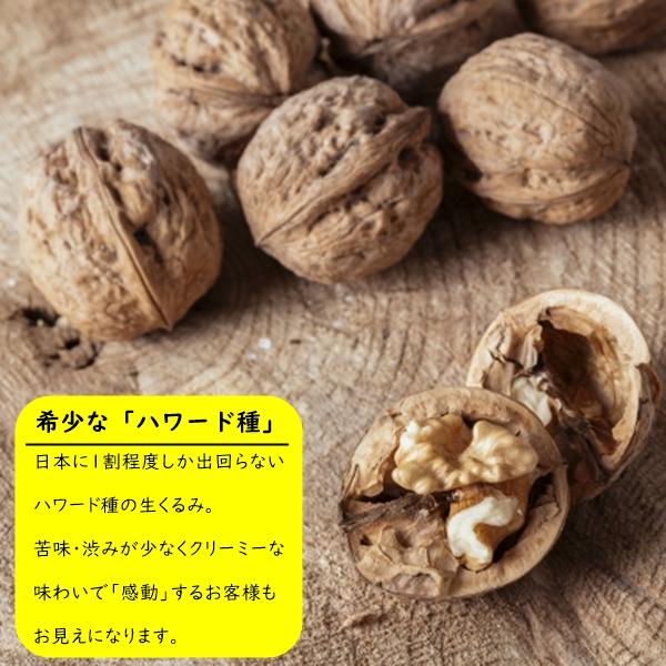 生くるみ 人気サイズ 500g 無添加 無塩 苦味・渋みが少なくクリーミーなハワード種 高級くるみ