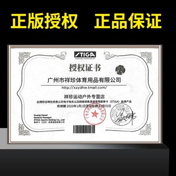 Stiga斯帝卡乒乓球鞋專業訓練夏冬男女新款防滑比賽斯蒂卡運動鞋