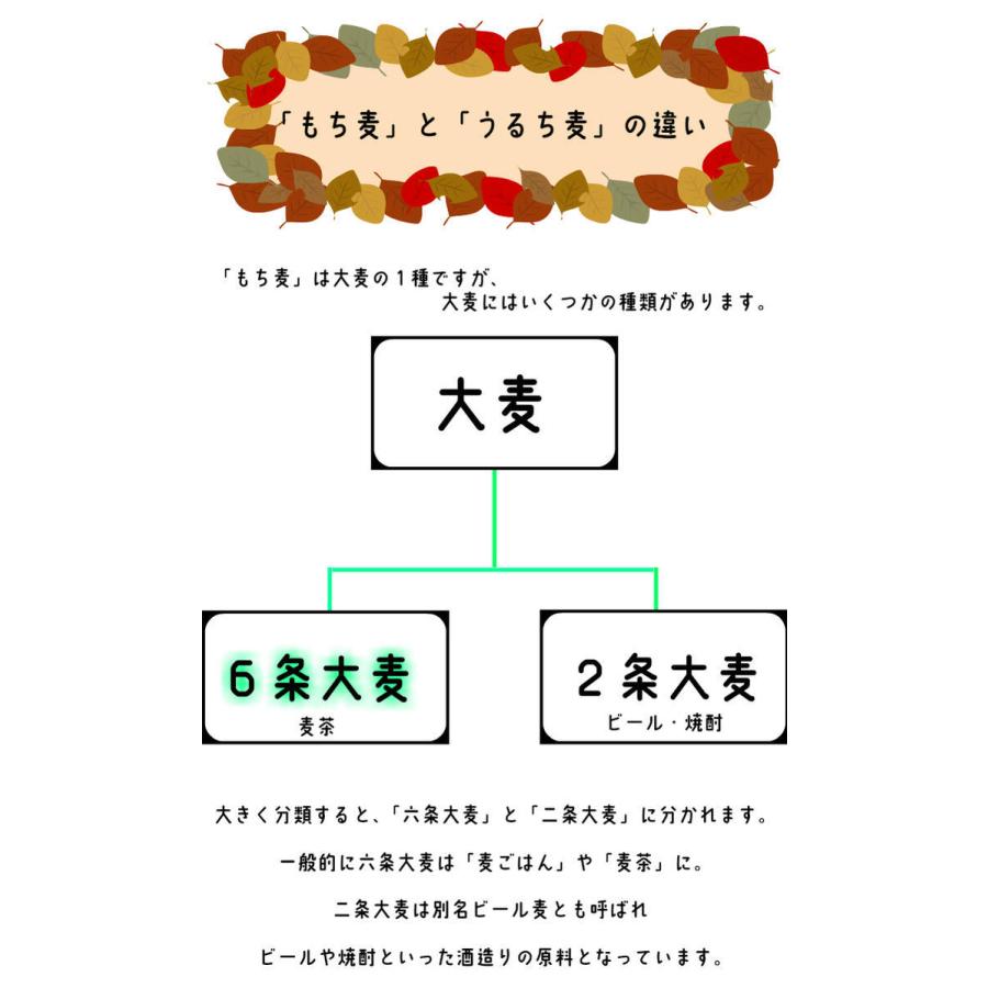 国産 もち麦　900g 雑穀 チャック付き 