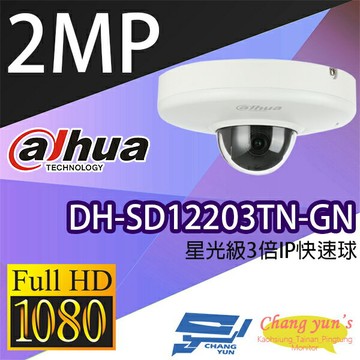 昌運監視器 大華 DH-SD12203TN-GN 星光級3倍1080P IPcam 快速球攝影機