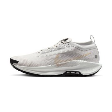 Nike Pegasus Trail 5 GTX 男鞋 淺灰色 透氣 氣墊 緩震 慢跑鞋 FQ0908-010